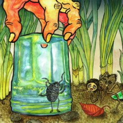 portfolio-image-illustration