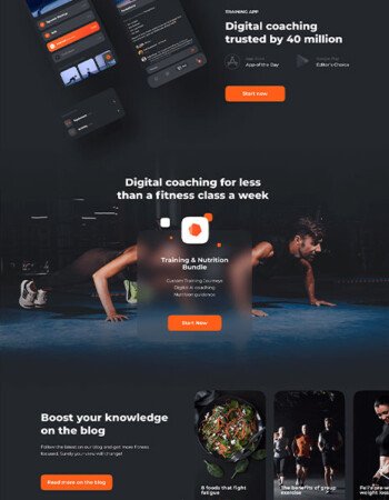 portfolio-image-web-design