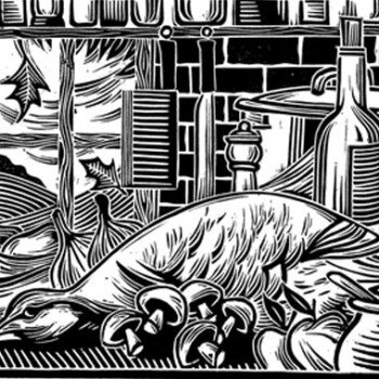 portfolio-illustration